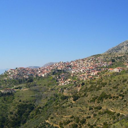 Kelari Studios Ámfissa Dış mekan fotoğraf